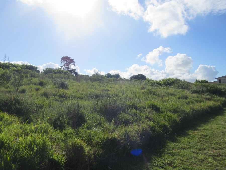 0 Bedroom Property for Sale in Forest Downs Eastern Cape